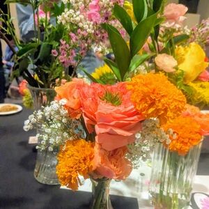 Meet your Posher, Alanya